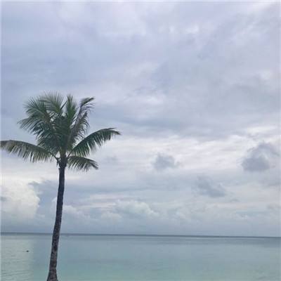 乐鱼官方-登录入口